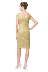 Paillette Embroidered Lace Dress