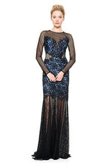 Mesh and Lace Applique Long Sleeve Gown