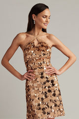 Gibbs Sequin Fringe Mini Dress