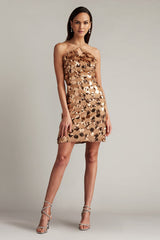 Gibbs Sequin Fringe Mini Dress