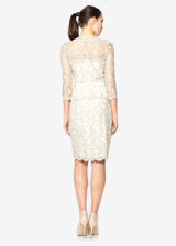 Illusion Lace ¾ Sleeve Dress