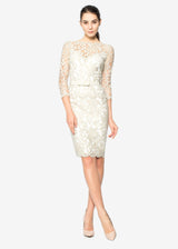 Illusion Lace ¾ Sleeve Dress
