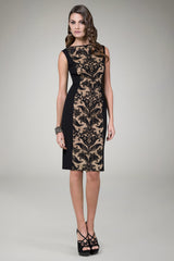 Lace Panel Cocktail Dress in Black / Nude