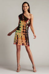 Bina Sequin Fringe Mini Dress