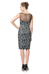 Mesh Illusion Lace Dress