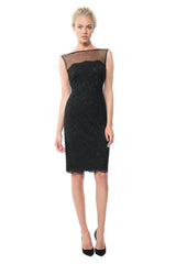 Mesh Illusion Lace Dress