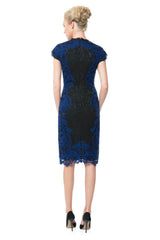 Contrast Lace Panel Dress
