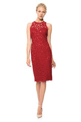 Lace Sheath Dress