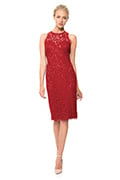 Lace Sheath Dress