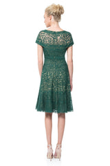 Embroidered Banded Lace Dress