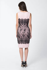 Neoprene and Metallic Lace Sheath Dress in Black / Pale Pink