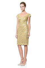 Paillette Embroidered Lace Dress
