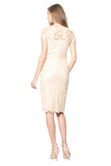 Paillette Embroidered Lace Cap Sleeve Dress