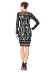 Cotton Embroidered Tulle Long Sleeve Dress