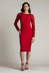 Emille Embroidered Illusion Cocktail Dress