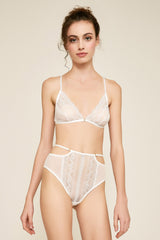 Chase Lace Mesh Briefs
