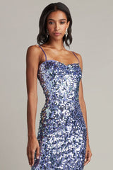 Mikala Sequin Corset Back Midi Dress