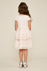 Boganita Embroidered Tulle Dress
