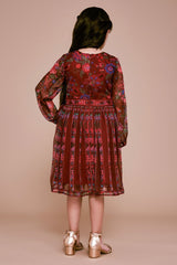 Elowenita Long-Sleeve Dress