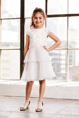Busonita Embroidered Dress