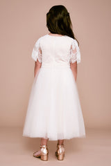Keatsita Embroidered Tulle Dress