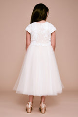 Vilvadita Applique Tulle Dress