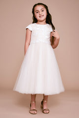 Vilvadita Applique Tulle Dress