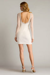 Savoy Sheer Sleeve Mini Dress