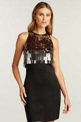 Storm Sequin Fringe Dress