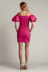 Sofie Puff Sleeve Mini Dress